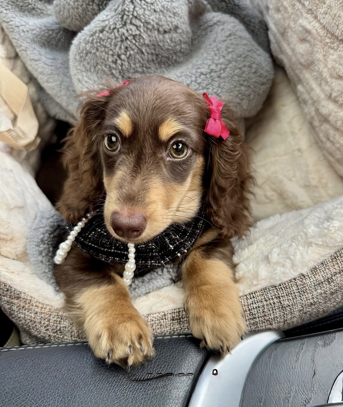 Baby Chai sleeping in her car seat with pink bows